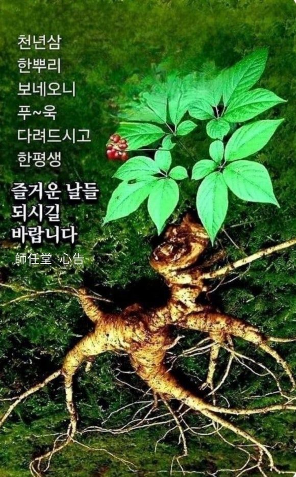 2f358fdc2aca9091e4032cbe4cad95b4_1764858
